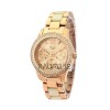 Alexandre Christie 2463BFBRGRGSL