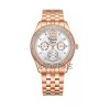 Alexandre Christie 2496BFBRGSL