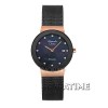 Alexandre Christie 2607LDBRG