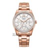 Alexandre Christie 2645BFBRGSL