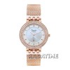 Alexandre Christie 2651LDRG