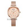 Alexandre Christie 2728LHBRGLN