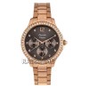Alexandre Christie 2768BFBRGBO