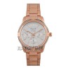 Alexandre Christie 2843BFBRGSL