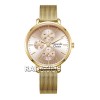 Alexandre Christie 2916BFBGPGR