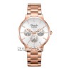 Alexandre Christie 2927BFBRGSL