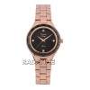 Alexandre Christie 2931LHBRGBA