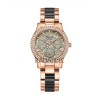 Alexandre Christie 2932BFBRGGR