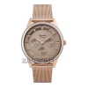 Alexandre Christie 2936BFBRGRGGR