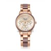 Alexandre Christie 2938BFBRGRGDB