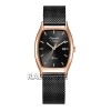 Alexandre Christie 2939LDBBRBA
