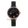 Alexandre Christie 2957LHBBRBA