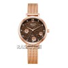 Alexandre Christie 2957LHBRGBO