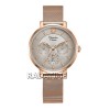 Alexandre Christie 2959BFBRGGR