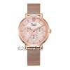 Alexandre Christie 2959BFBRGPN