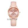 Alexandre Christie 2972BDLRGPN
