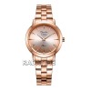 Alexandre Christie 2975BHBRGLN
