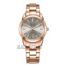 Alexandre Christie 2A40LDBRGGR