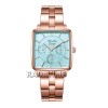 Alexandre Christie 5003BFBRGBU