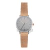 Alexandre Christie 6499LDSRG