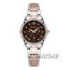 Bonia BN-10306-SRGLBR