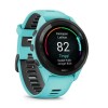 Garmin 010-02810-52