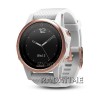 Garmin FN5SRGSW