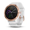 Garmin VIVO3WRG
